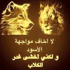 تطبيع العلاقات مع الكفار الحربيين بتقنية الصمت!