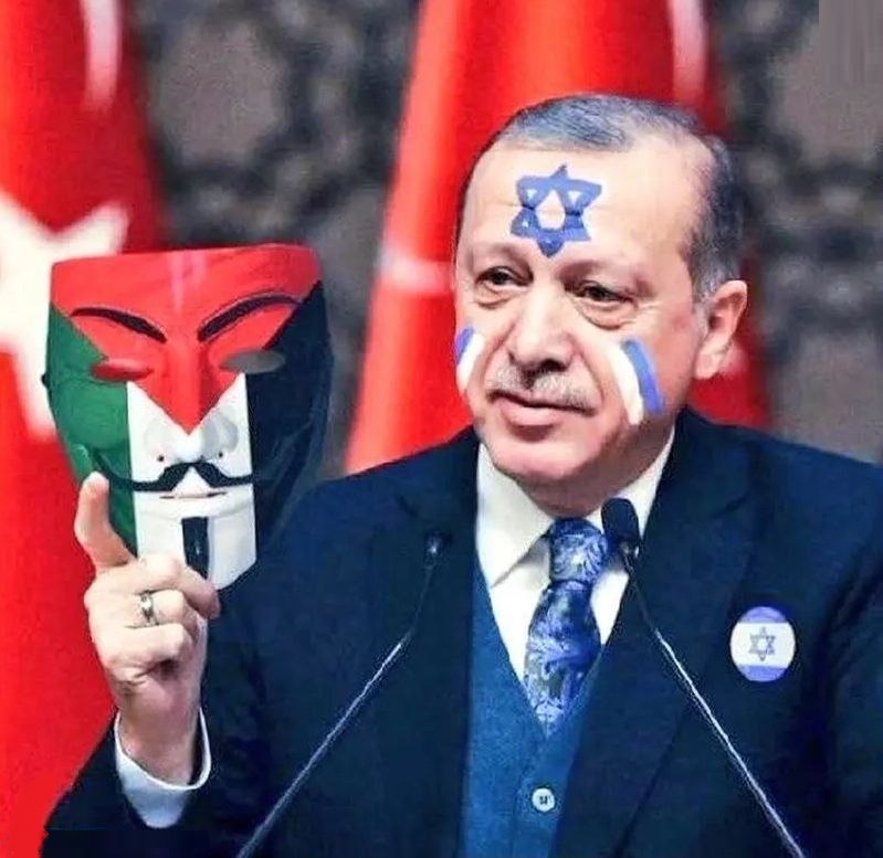 تركيا في غزة، من الدبلوماسية إلى نشر القوات والبديل للكفار المحاربين