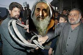 في ذكرى المجاهدين المخلصين